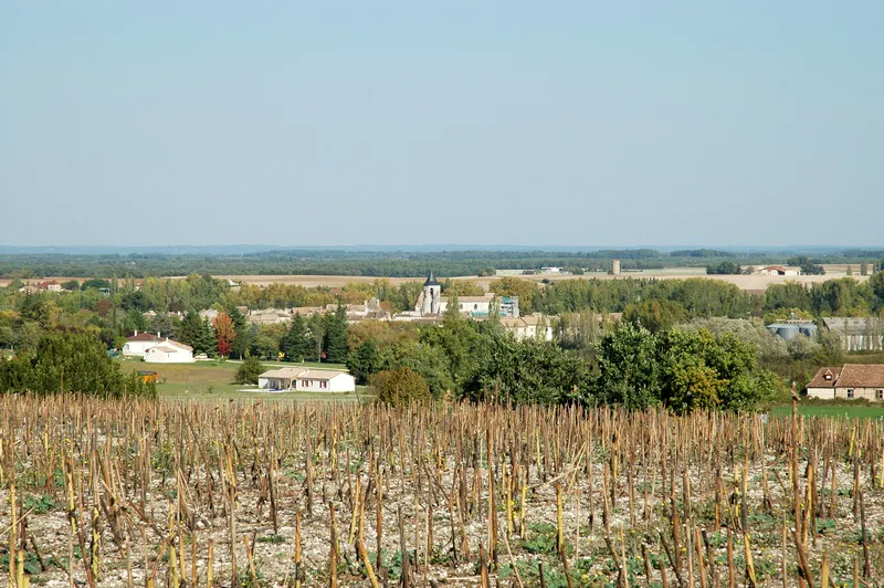 A l'affut de la faune sauvage