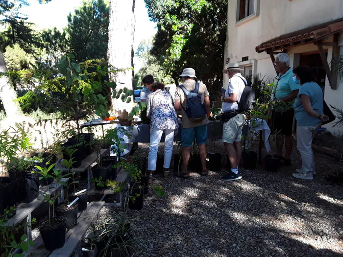 Conseils de culture et vente de plantes Jardin botanique de la villa Thuret Antibes