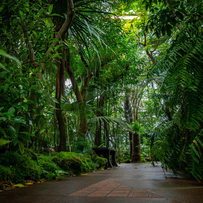 Découvrez les serres tropicales d'un des plus grands jardins botaniques de France Jardin botanique Jean-Marie Pelt (anciennement Montet) Villers-lès-Nancy