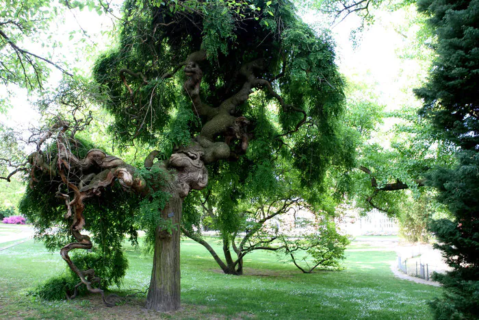 Découvrez le patrimoine historique et végétal d’un jardin botanique Jardin botanique Montigny-lès-Metz