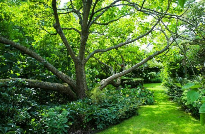 Visite guidée du jardin Jardin des hasards Doudeville