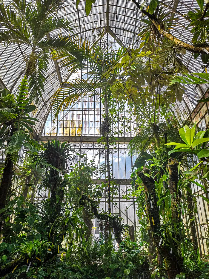 Jardin des Plantes : Le Chant du Palmarium Jardin des Plantes Nantes