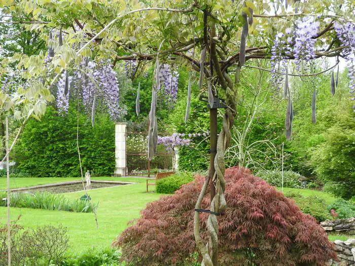 Visite libre du jardin Jardin du bois du puits Dame-Marie