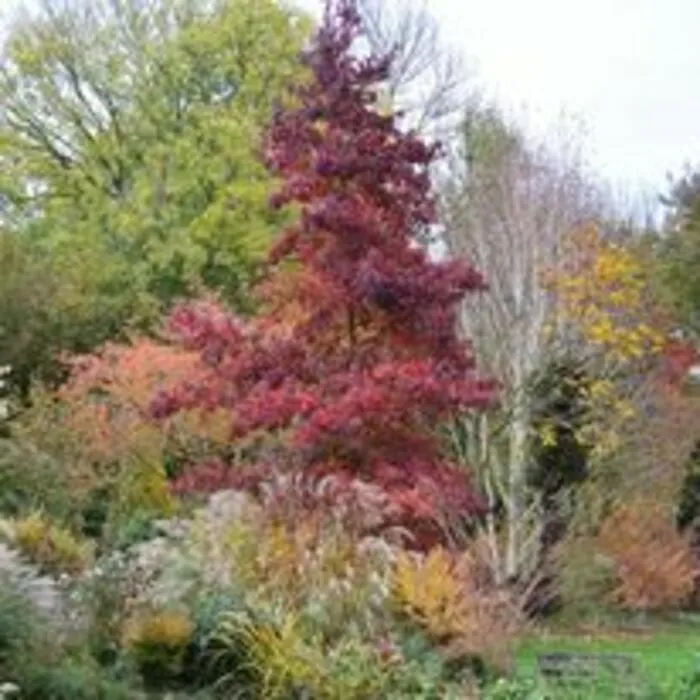 visites libres du jardin promenade de 2 ha autour du moulin Jardin du Moulin Ventin Paillart