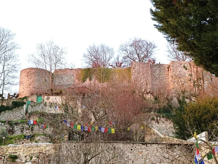 Visite du jardin Jacopin Jardin Jacopin Château-Thierry