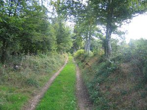 Le sentier du renard Javerdat Nouvelle-Aquitaine