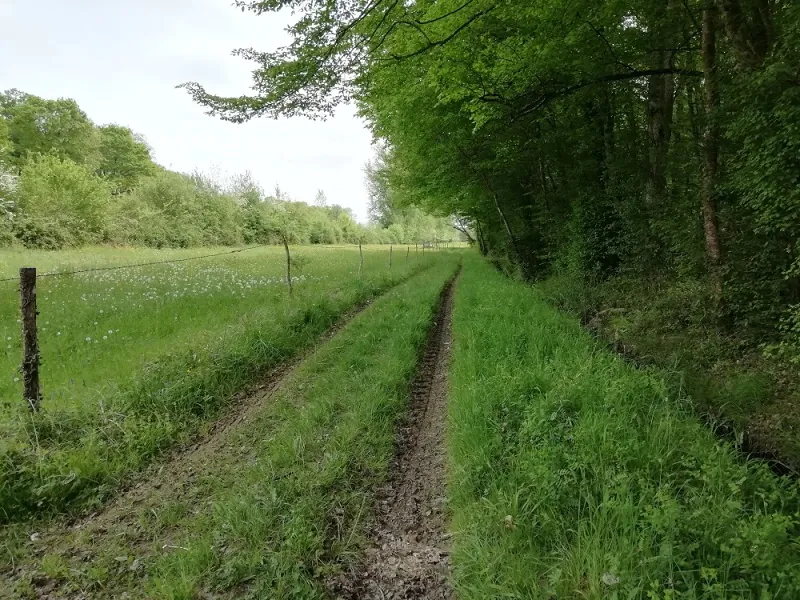 Circuit VTT 7 La Rive gauche Graoussettes Lauzun Nouvelle-Aquitaine