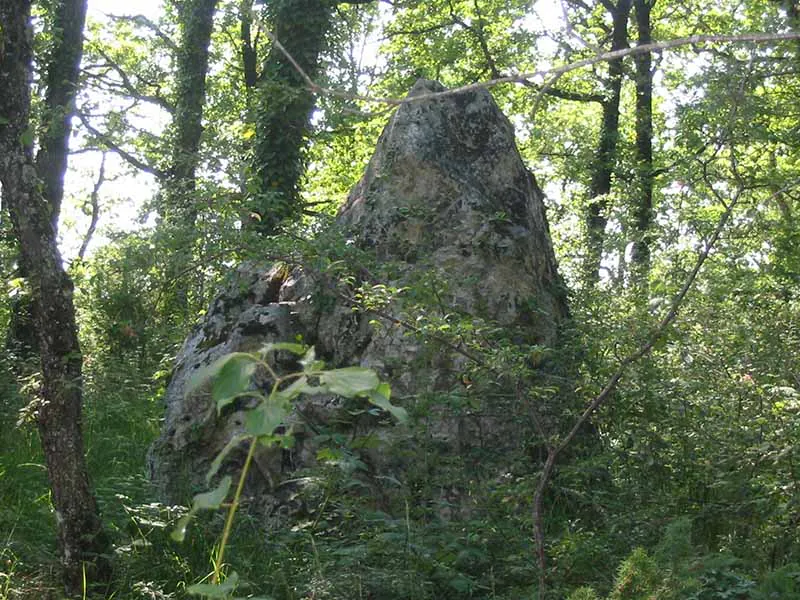 Boucle de Peyregude Lavalade Lavalade Nouvelle-Aquitaine