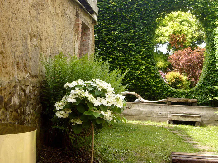 Visite guidée du jardin Le jardin du revers Notre-Dame-de-Cenilly