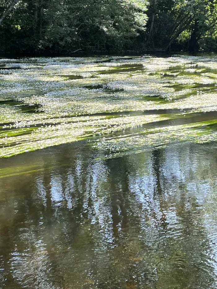 Visite du parc du moulin Jacquot Le moulin Jacquot Deux Rivières