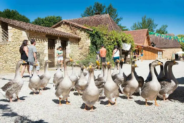 Visite d'un village reconstitué