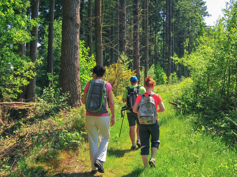 Au coeur du massif forestier Noues de Sienne Normandie