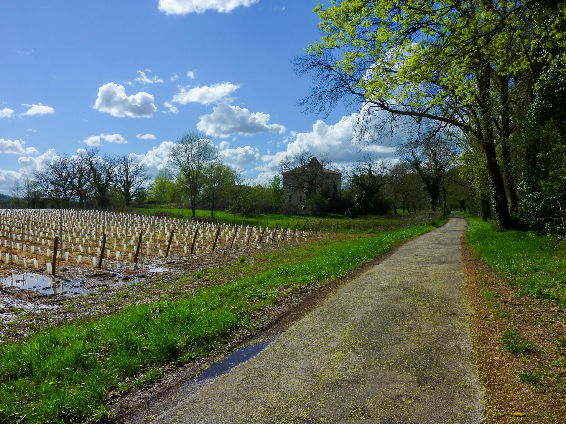 Balade sur les Berges du Lot Pradines Occitanie