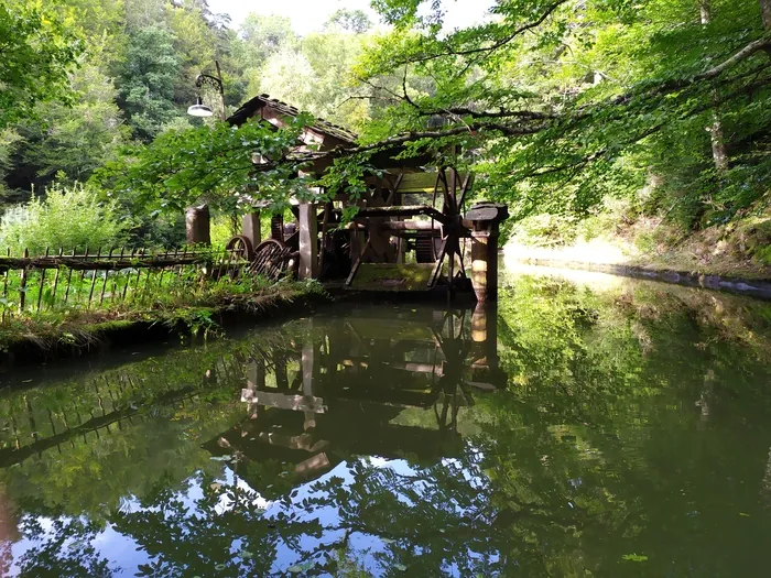 Visite du Moulin du Pinard Lieu dit La Varenne - 43200 SAINT-JULIEN-DU-PINET Saint-Julien-du-Pinet