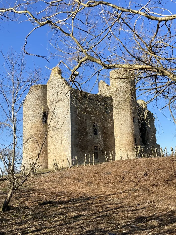 Visite des ruines du manoir de Montlebeau du XVe siècle Lieu-dit « Le Purfier » Vareilles