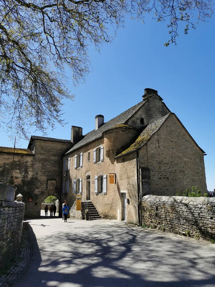 Visite du musée de la Haute-Seille Maison de la Haute-Seille Château-Chalon