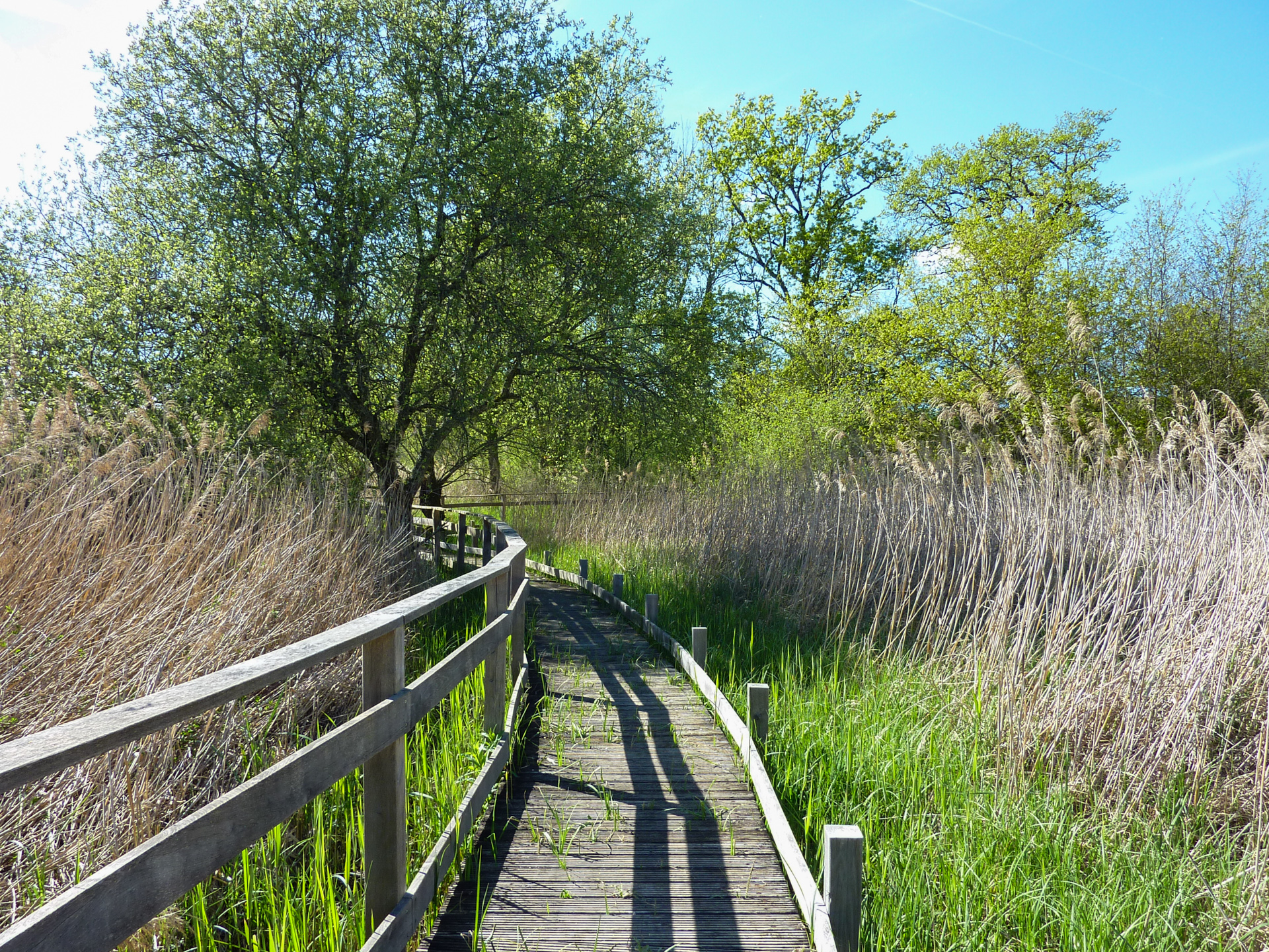 Le Marais de Bonnefont