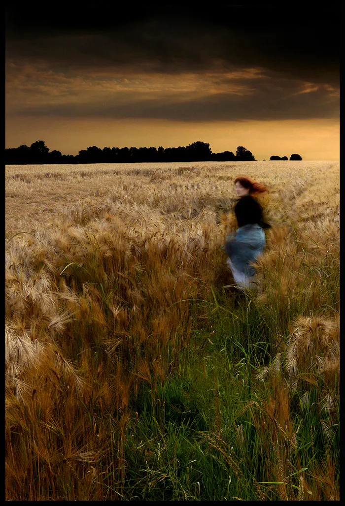 Exposition de photographies inspirées de Madame Bovary Médiathèque Maurice Delange Honfleur