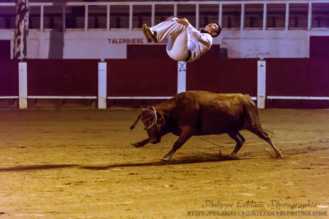 Courses Landaises aux arènes Arènes de Mimizan Mimizan mardi 13 août 2024