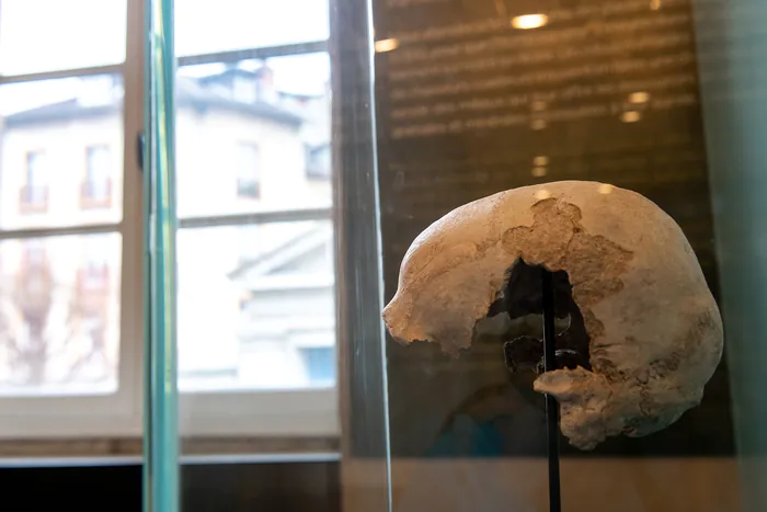 Visite guidée - L’Isère en histoire. Zoom sur la Préhistoire et l’époque gallo-romaine Musée de l'Ancien Évêché Grenoble