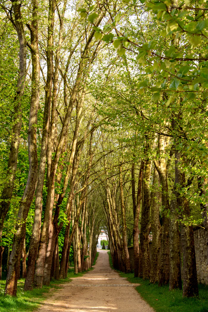 Itinéraire du Domaine Musée du Domaine royal de Marly Marly-le-Roi