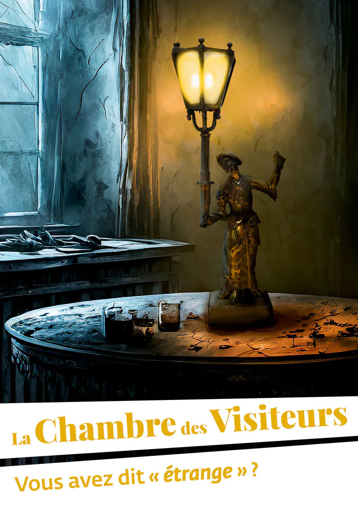 Exposition : chambre des visiteurs #8 "étrange vous avez dit étrange ?" Musée Flaubert et d'histoire de la médecine Rouen