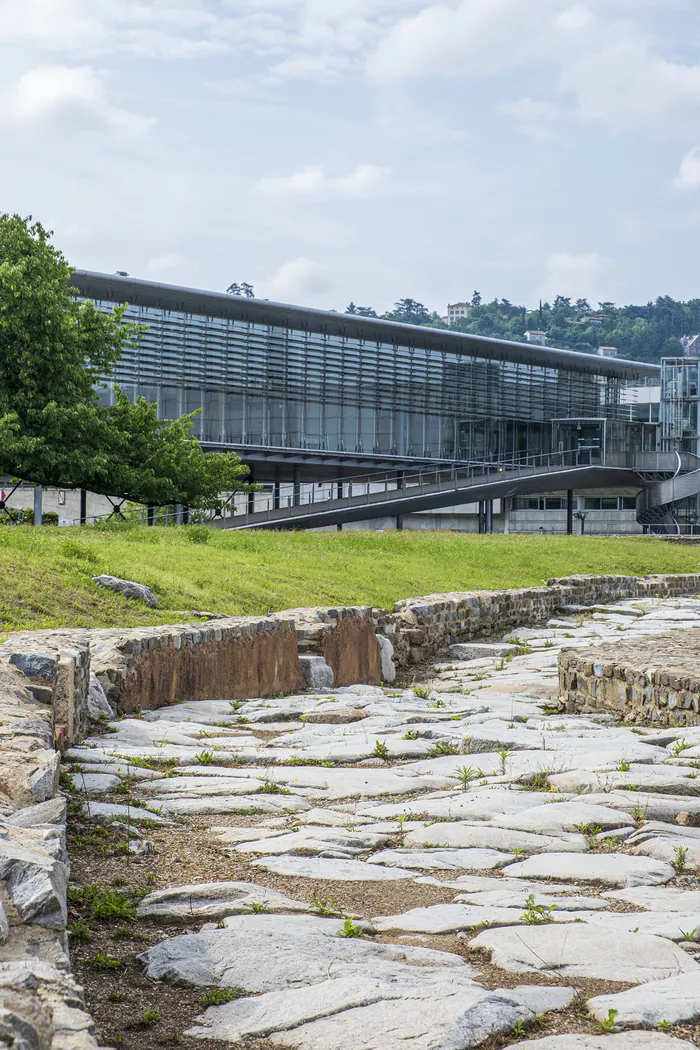 Visites du site archéologique avec un archéologue du musée Musée gallo-romain de Saint-Romain-en-Gal - Vienne Saint-Romain-en-Gal