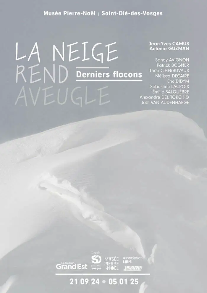 Vernissage de l'exposition "La Neige rend aveugle / Derniers flocons" Musée Pierre Noël Saint-Dié-des-Vosges