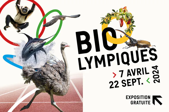 Exposition « BIOlympiques » Muséum d’Histoire naturelle Auxerre