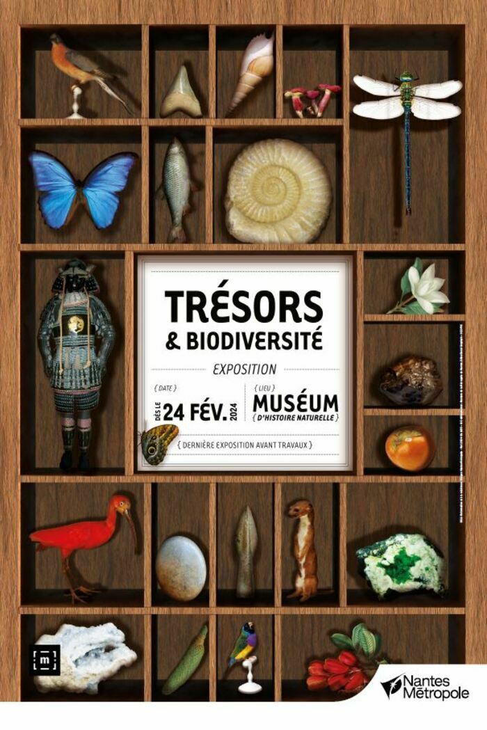 Muséum d'histoire naturelle - Exposition Trésors & biodiversité Muséum d'histoire naturelle de nantes Nantes