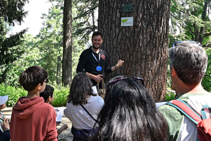 Visite guidée en famille du Jardin des Plantes : "L'arbre à remonter le temps" Muséum national d'histoire naturelle - Jardin des Plantes Paris