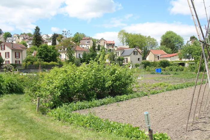 Visite guidée du quartier de l'Hermitage et du four à pain Office de tourisme de Cergy-Pontoise - Porte du Vexin Pontoise