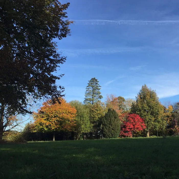 Visite libre du parc Parc du château de Pouvrai Pouvrai