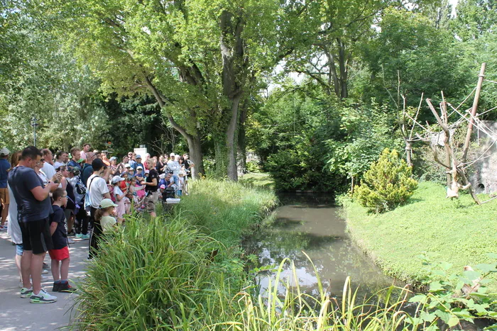 Visites libres du Zoo Amiens Métropole Parc zoologique Amiens