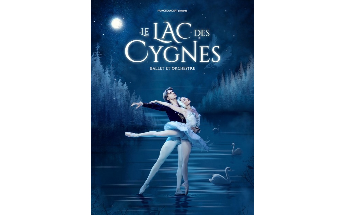 Spectacle Le Lac des Cygnes