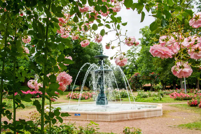 Participez à une balade "Thionville au naturel" Pays Thionvillois Tourisme Thionville