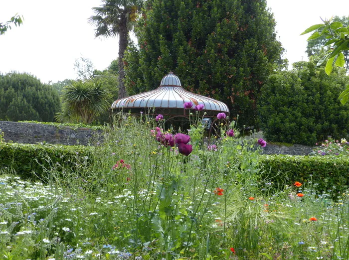 Spectacle : les contes du jardin Pétales de la Baie Saint-Jean-le-Thomas