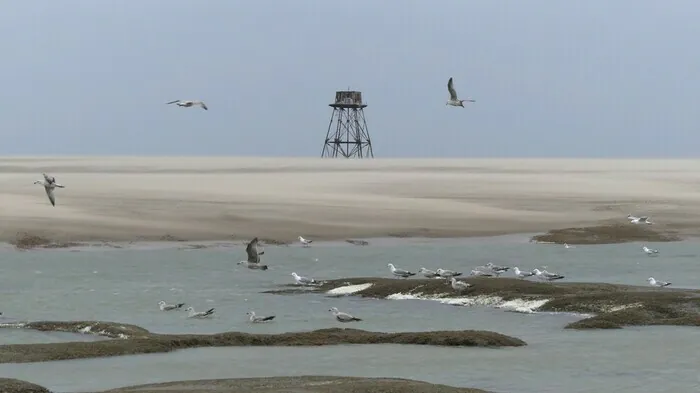 A la rencontre du Phare de Walde Phare de Walde Calais