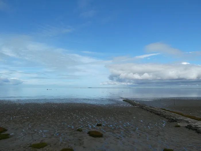 La baie de l'Aiguillon au fil des saisons Pointe Saint-Clément Esnandes