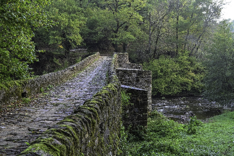 GR62B Vallée de l'Aveyron Moyrazès Occitanie