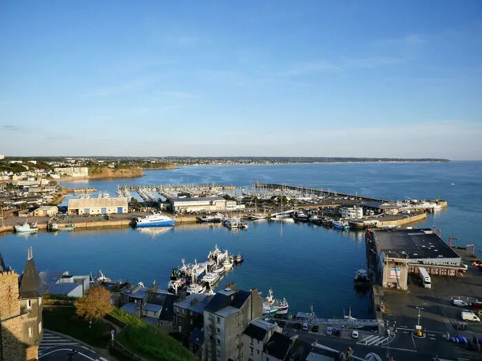 Visite guidée du port de pêche Port de pêche