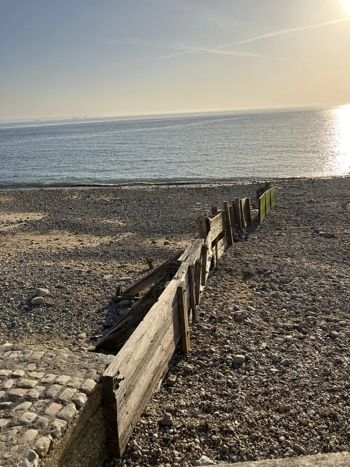 Visite guidée : balade sur le littoral Promenade des Régates