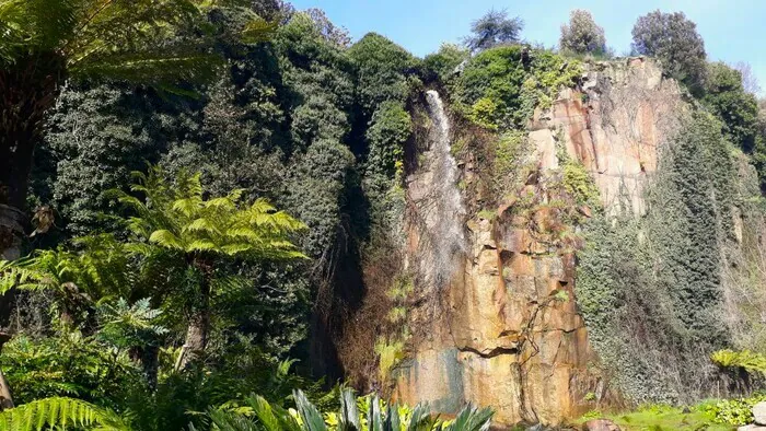 Balade botanique : "Le voyage des plantes" Quartier Sainte Anne Nantes