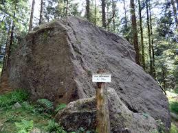 Sainte sabine depuis le hêtre de la vierge Cleurie Grand Est