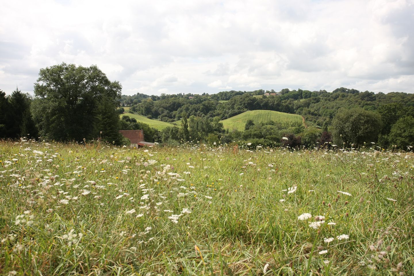 De Navailles-Angos au lac de Balaing Navailles-Angos Nouvelle-Aquitaine