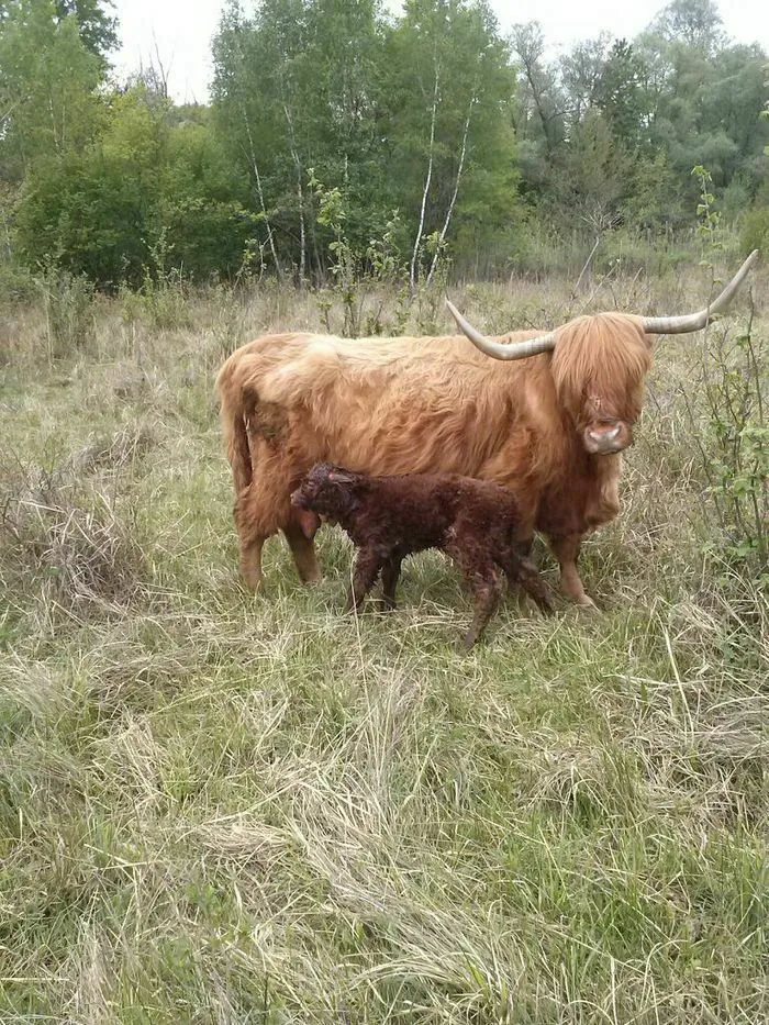 Balade au cœur d'une réserve naturelle protégée Réserve naturelle de la petite Camargue alsacienne Saint-Louis