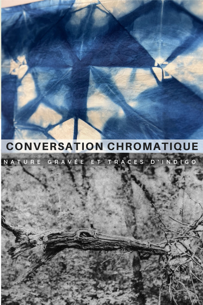 Exposition "Conversation Chromatique : Nature Gravée et Traces d’Indigo" Rive d'Arts Les Ponts-de-Cé