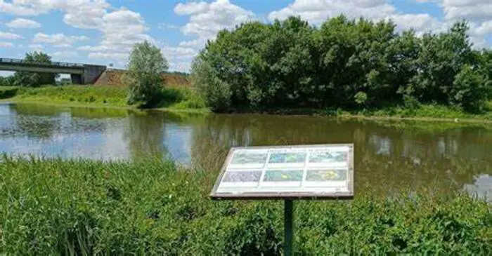 Marais pédagogique de Briollay Route de Tiercé