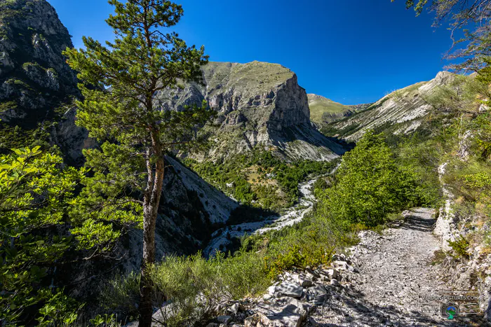 Conférence "De Lignin à la source du Coulomp