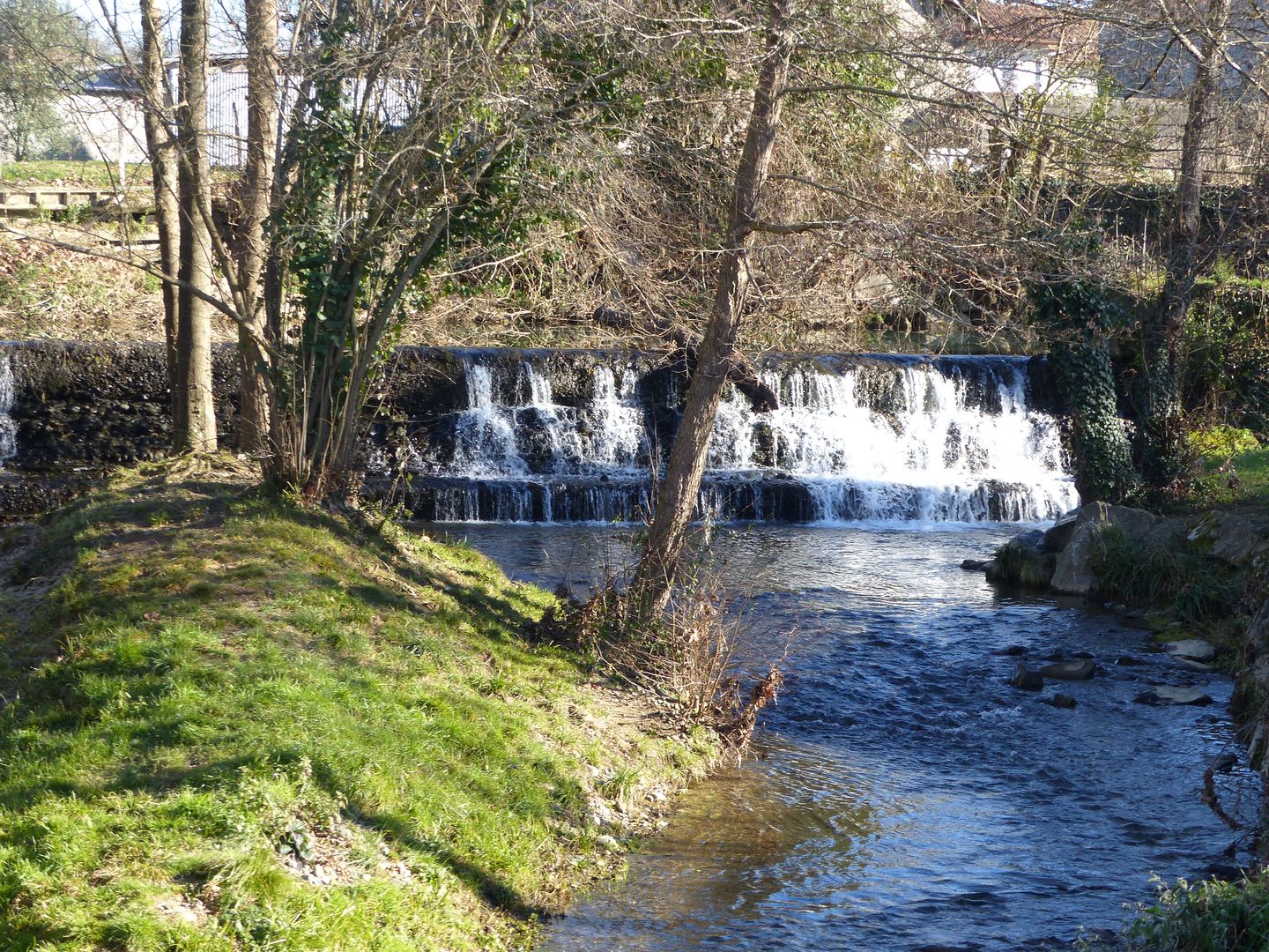 Sauvagnon dans la plaine du Pont Long Sauvagnon Nouvelle-Aquitaine